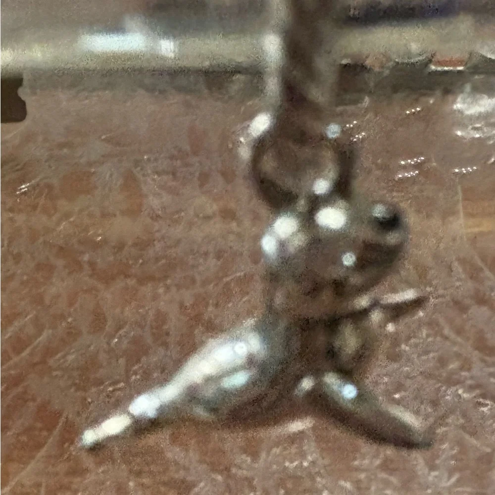 Brighton seal charm